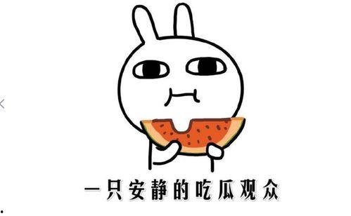 娱乐吃瓜酱如何赚钱的,揭秘网红如何通过吃瓜赚钱的秘密